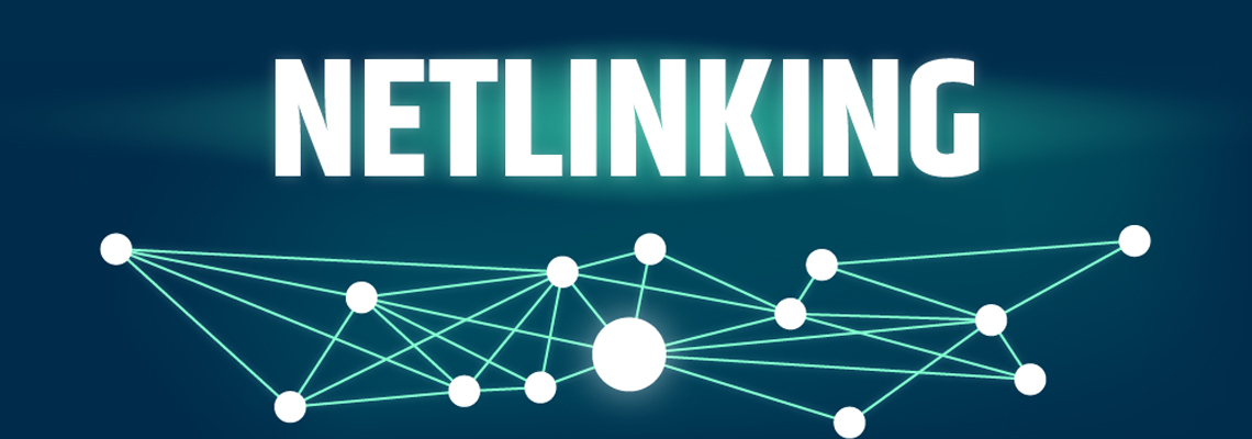 netlinking.